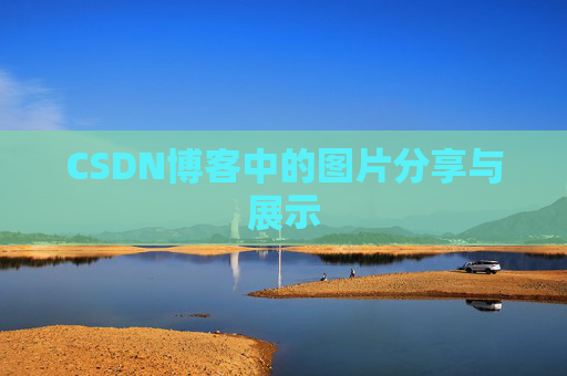 CSDN博客中的图片分享与展示